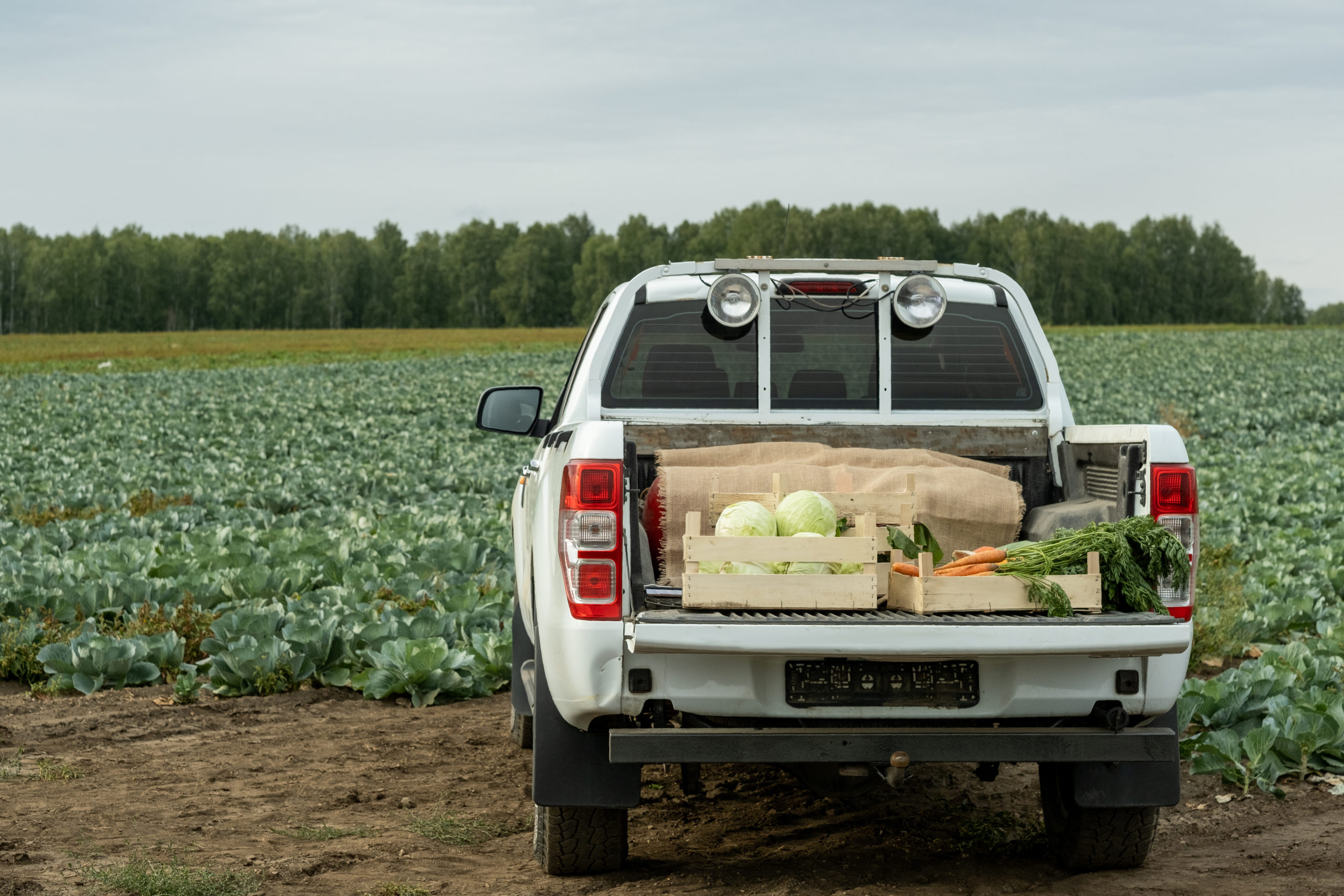 https://autolab.com.co/wp-content/uploads/2023/09/pickup-truck-with-vegetable-crop-2021-12-09-09-46-08-utc-scaled.jpg